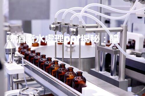 啤酒廢水處理ppt揭秘：釀造黃金背后的綠色革命！
